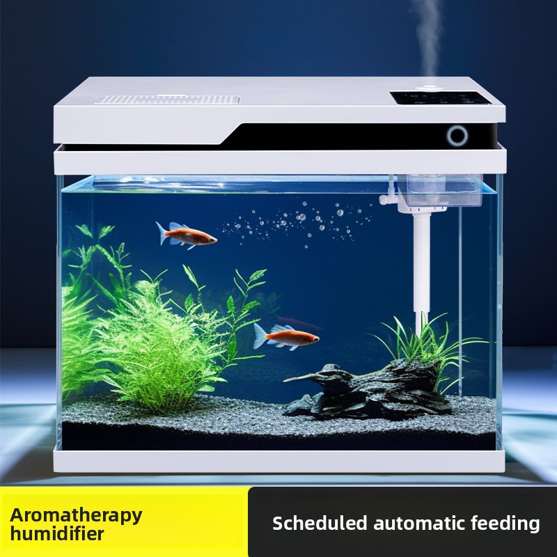 All Fish In Aquarium - حوض سمك زجاجي شفاف ذكي مع