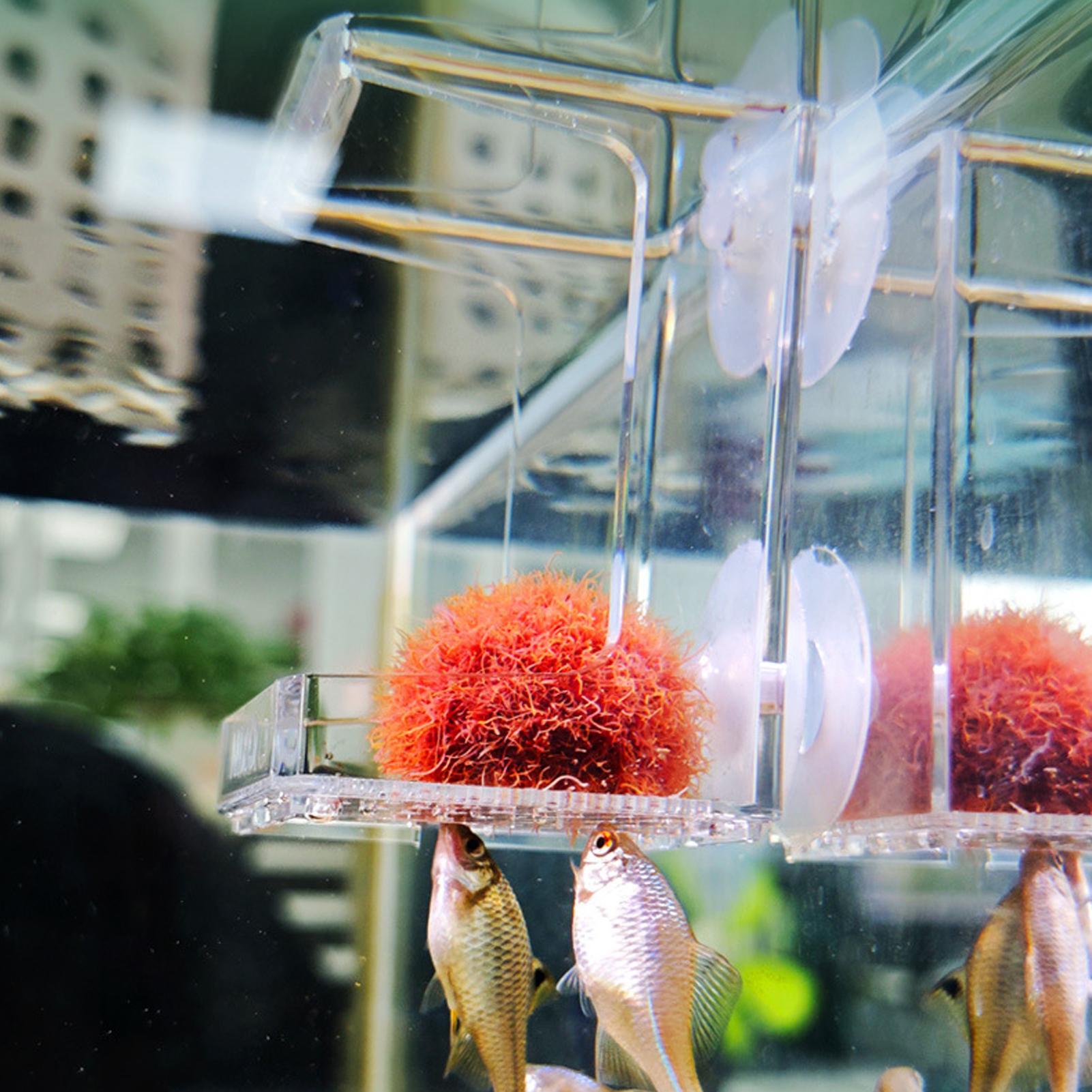 Tetra Fish In Aquarium - صينية تغذية للأحواض المائية بكأس شفط،
