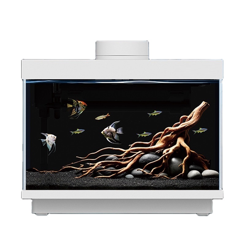 All Fish In Aquarium - حوض أسماك زجاجي ذكي متعدد الوظائف