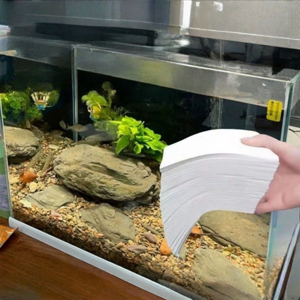 50 قطعة من ورق الترشيح متعدد ا - مراجعة Aquarium Fish Yellow وسعره