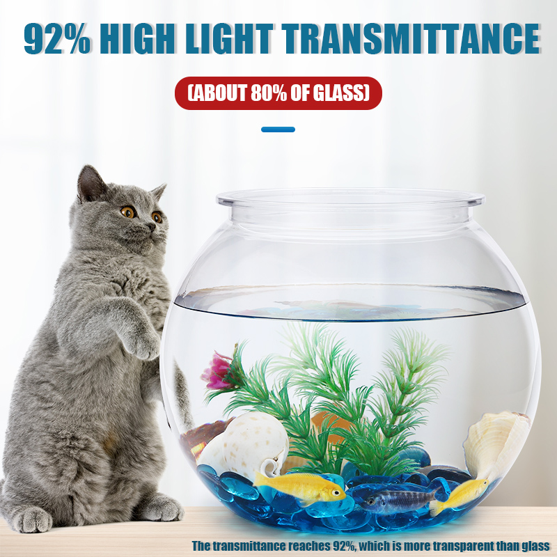 وعاء السمك البلاستيكي مقاسات L - مراجعة All Fish In Aquarium وسعره