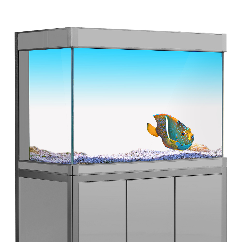 ملصق خلفية لخزان الأسماك أبيض  - مراجعة Aquarium Fish Yellow وسعره