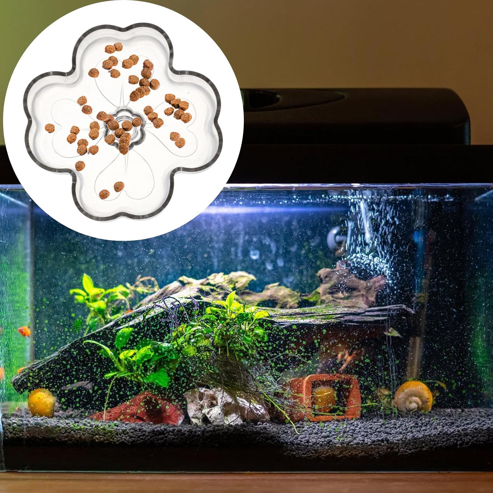 صينية تغذية للأحواض المائية عل - مراجعة Tetra Fish In Aquarium وسعره