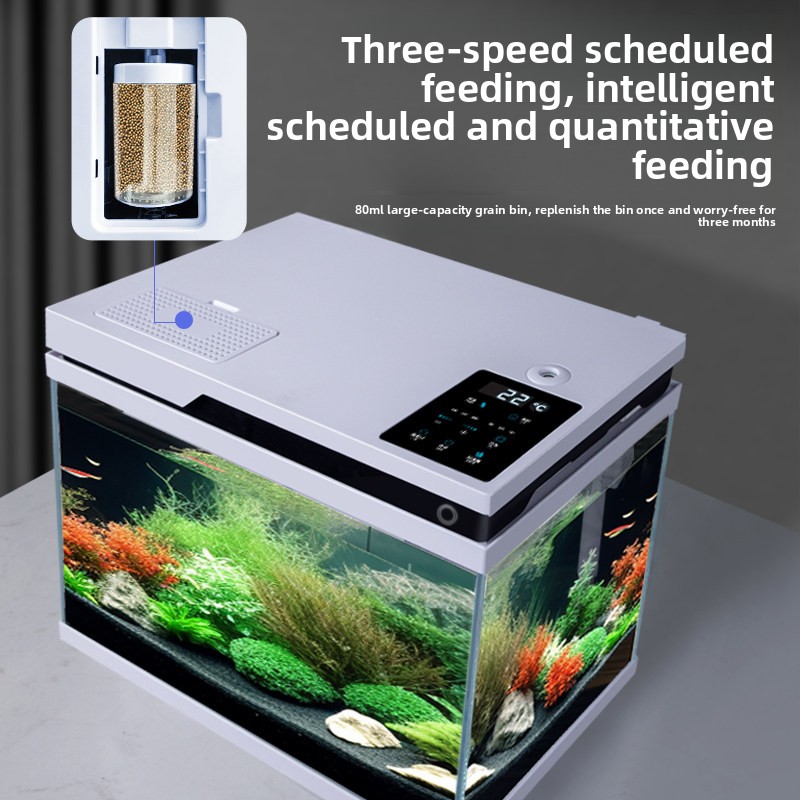 حوض سمك زجاجي شفاف ذكي مع تغذي - مراجعة All Fish In Aquarium وسعره