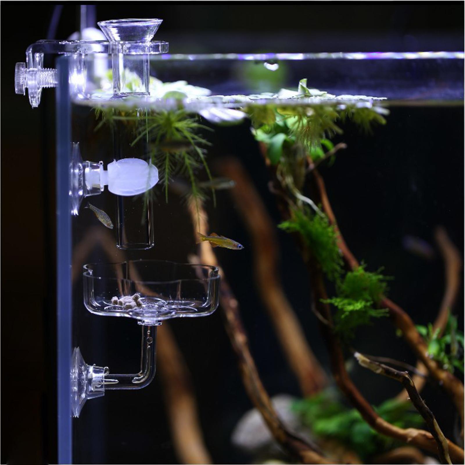 طبق تغذية للأسماك على شكل زهرة - مراجعة Tetra Fish In Aquarium وسعره