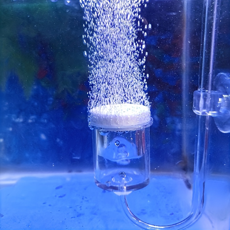حوض السمك الزجاج CO2 البخاخة ا - مراجعة Aquarium Fish Photography وسعره