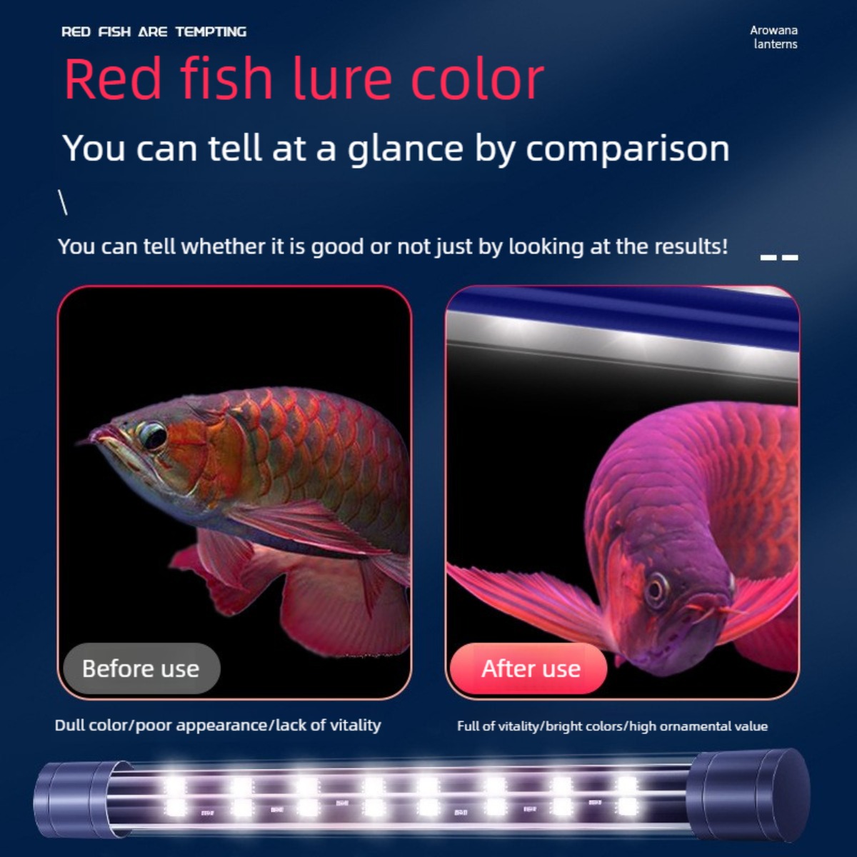 إضاءة LED لأحواض السمك بطول 32 - مراجعة Aquarium Fish Yellow وسعره
