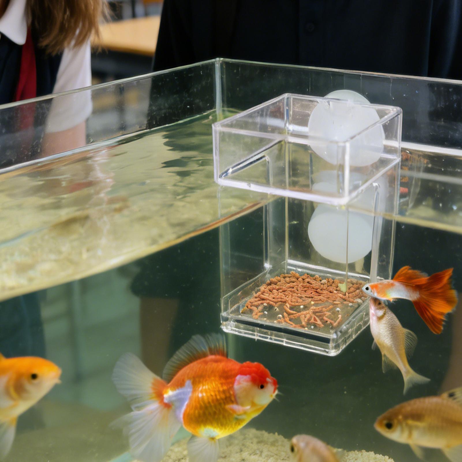 صينية تغذية للأحواض المائية بك - مراجعة Tetra Fish In Aquarium وسعره