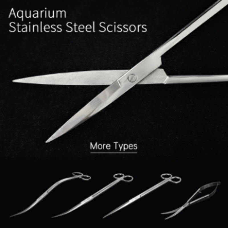 مقصات ويك أكوا المصنوعة من الف - مراجعة Aquarium Fish Photography وسعره
