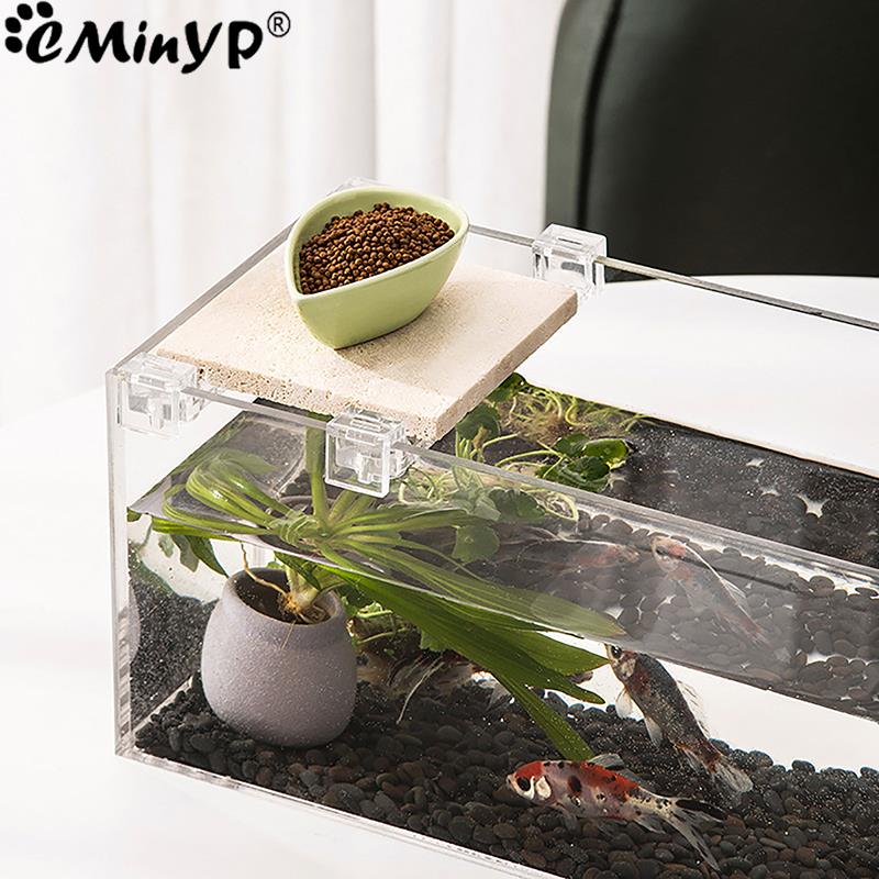 4 قطعة خزان الأسماك مقاطع الاك - مراجعة Aquarium Fish Photography وسعره