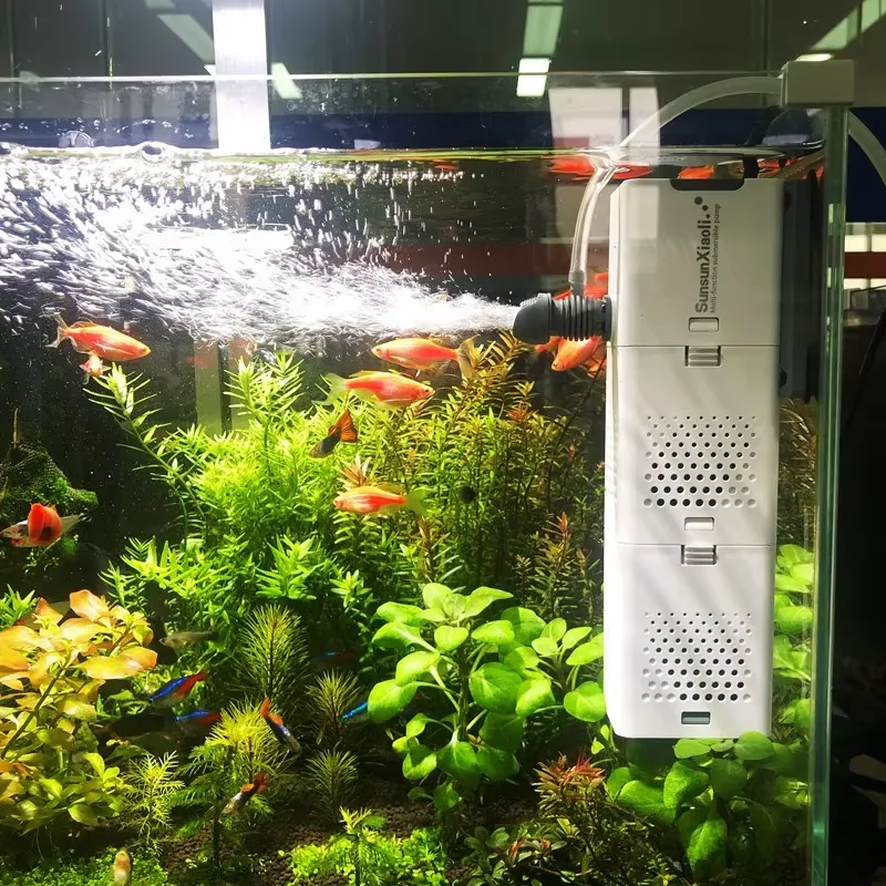 فلتر داخلي للأحواض المائية 4 ف - مراجعة All Fish In Aquarium وسعره