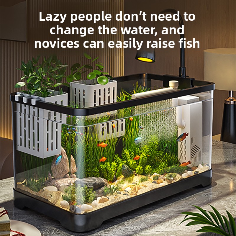 حوض سمك متكامل 2026 مع نظام أك - مراجعة All Fish In Aquarium وسعره