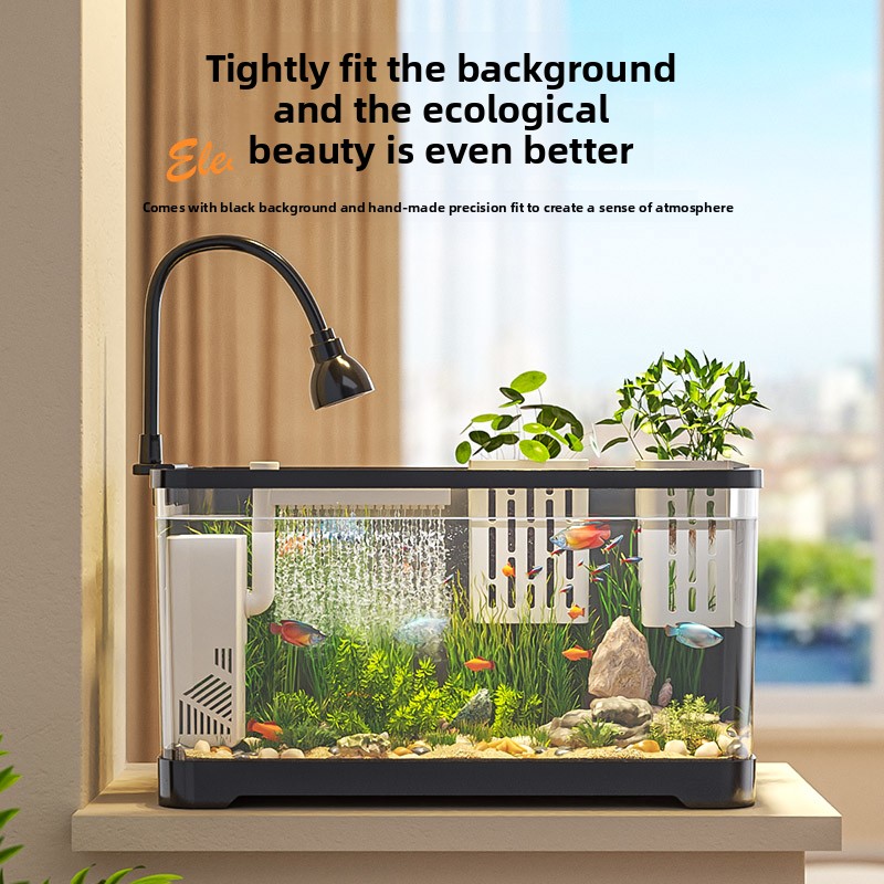 حوض سمك متكامل 2026 مع نظام أك - مراجعة All Fish In Aquarium وسعره