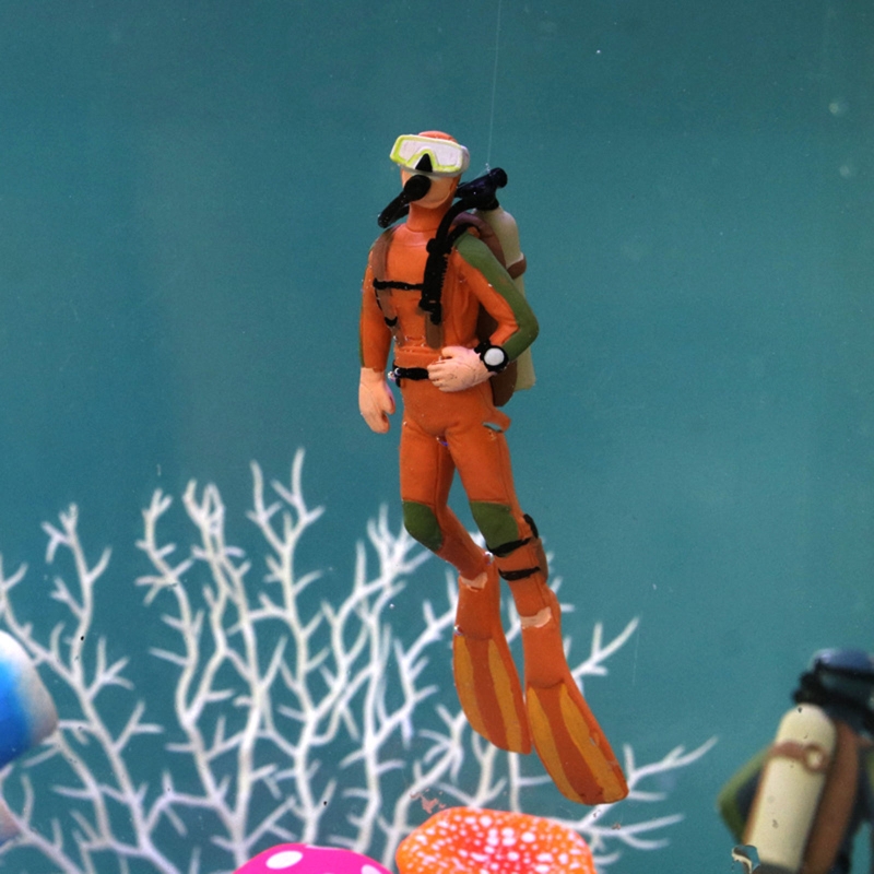 حوض السمك غواص الديكور العائمة - مراجعة All Fish In Aquarium وسعره