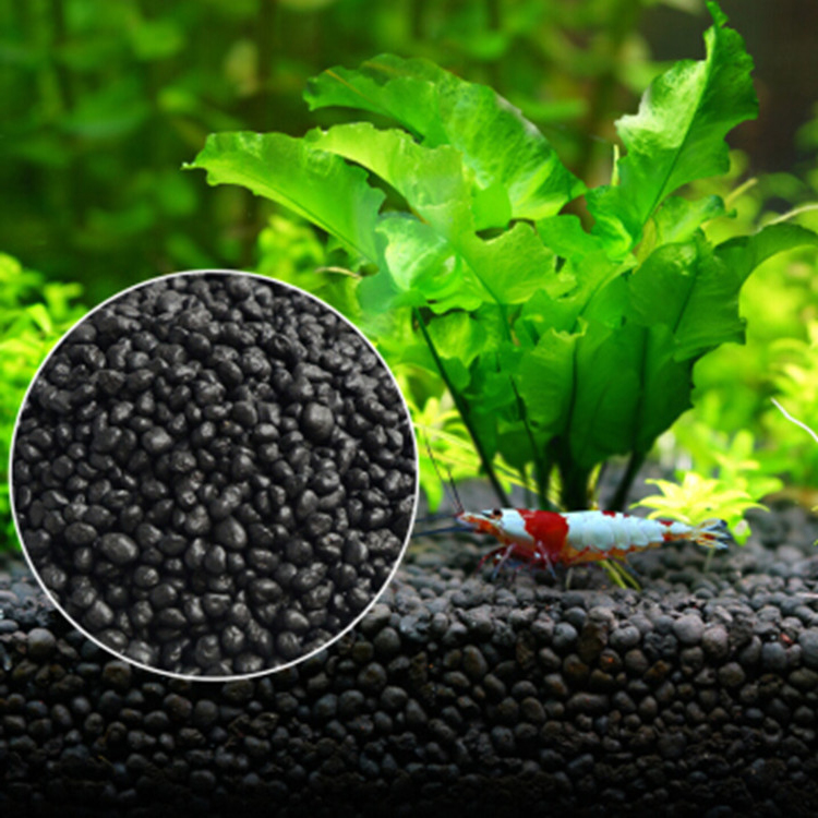 نباتات أحواض السمك ، التربة ،  - مراجعة Aquarium Fish Photography وسعره