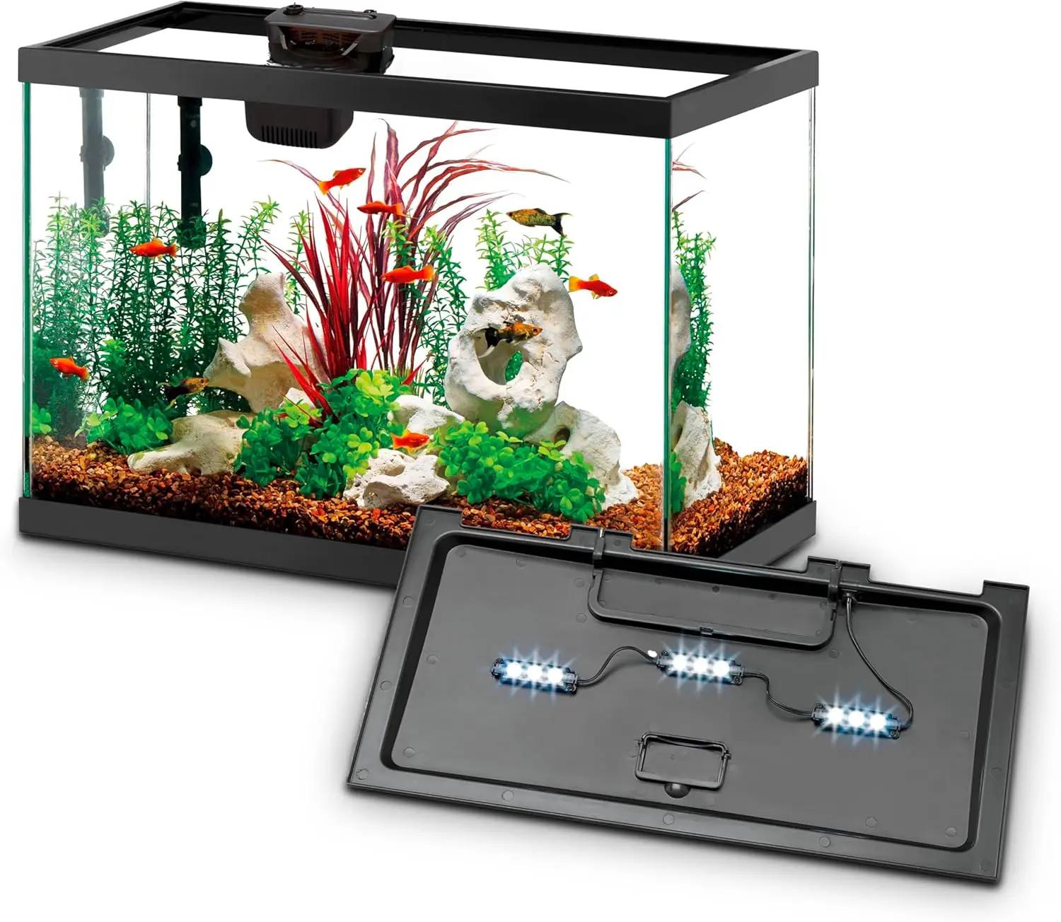 مجموعة أدوات تربية الأسماك مع  - مراجعة Tetra Fish In Aquarium وسعره