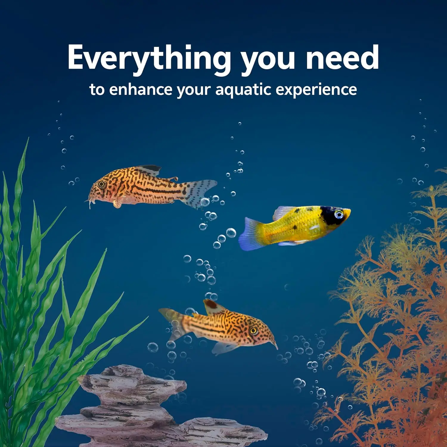 مجموعة أدوات تربية الأسماك مع  - مراجعة Tetra Fish In Aquarium وسعره