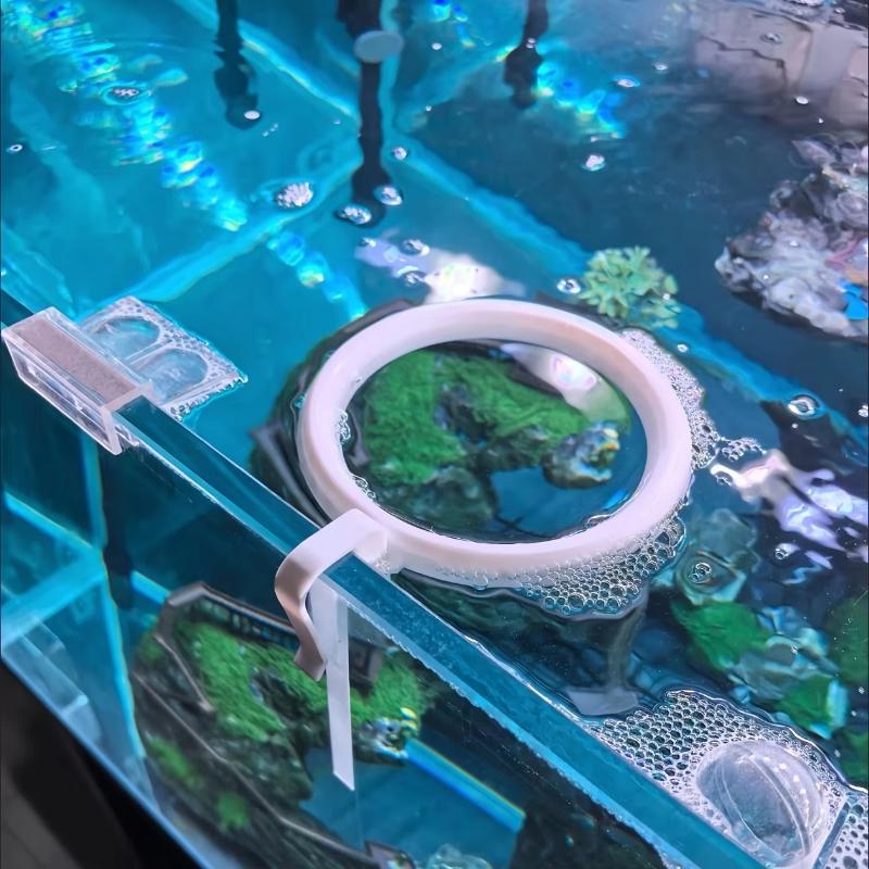 حلقة تغذية عائمة مضادة لتناثر  - مراجعة All Fish In Aquarium وسعره