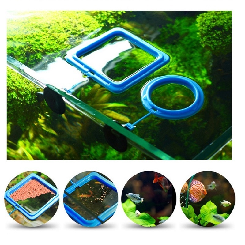 الأسماك تغذية حلقة المغذية معد - مراجعة Tetra Fish In Aquarium وسعره