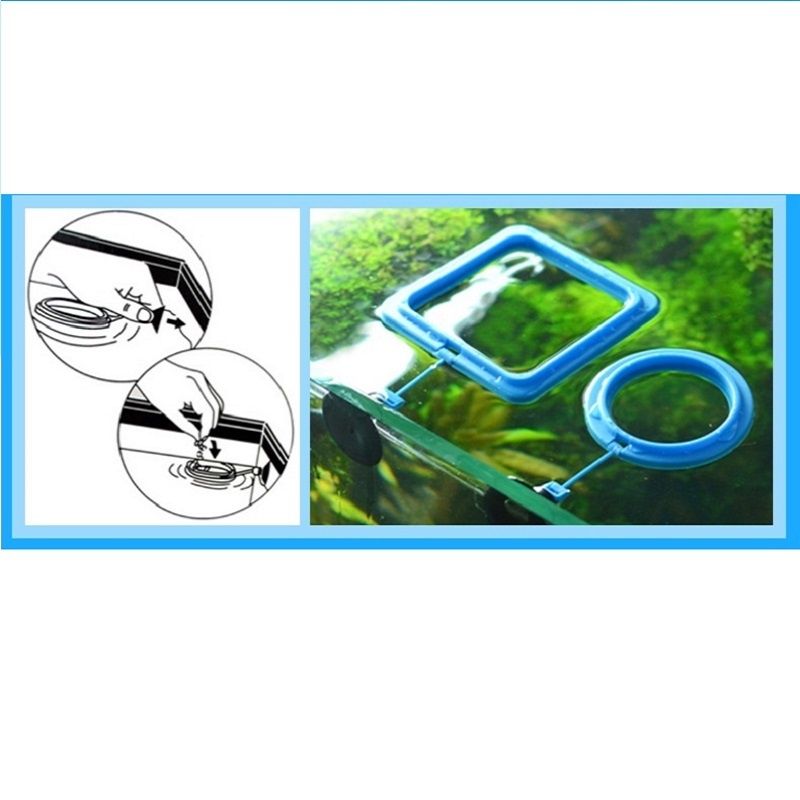 الأسماك تغذية حلقة المغذية معد - مراجعة Tetra Fish In Aquarium وسعره