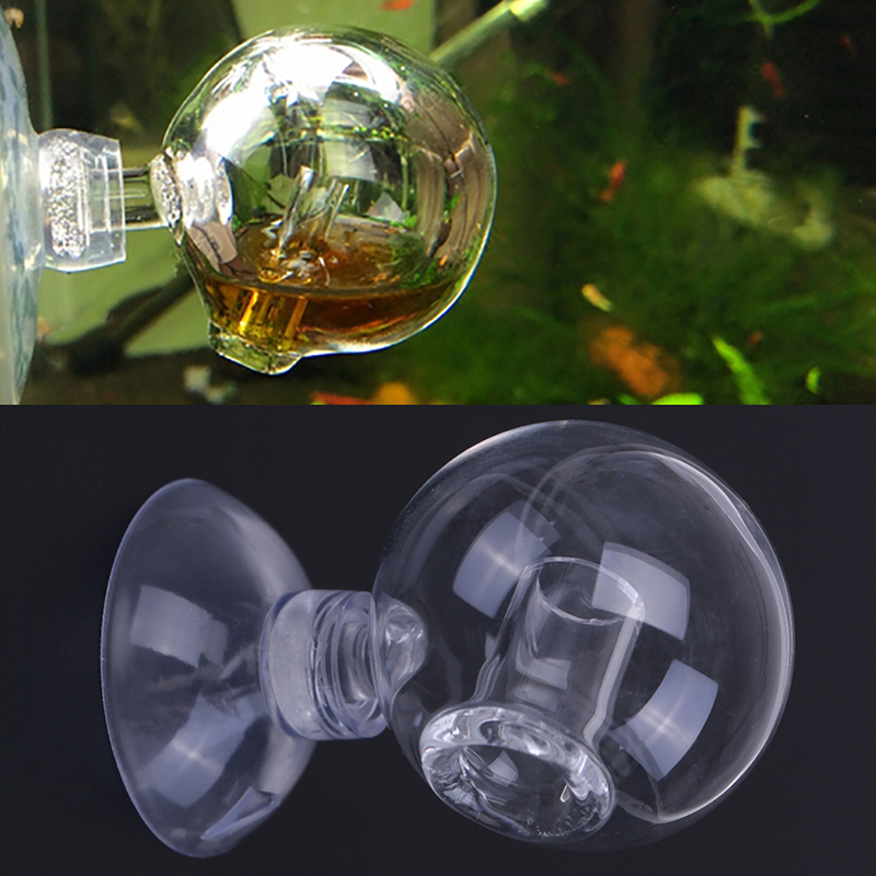 زجاج منتشر CO2 قطرة مدقق حوض ا - مراجعة Aquarium Fish Photography وسعره