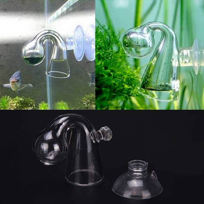 زجاج منتشر CO2 قطرة مدقق حوض ا - مراجعة Aquarium Fish Photography وسعره