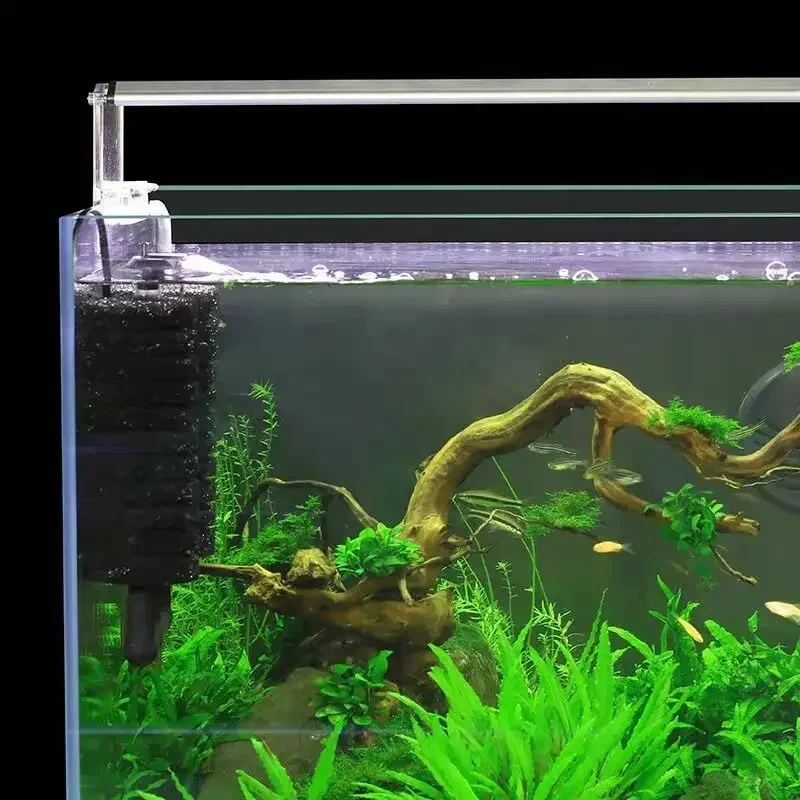 3-IN-1 كليب على الطاقة الكهربا - مراجعة Aquarium Fish Electric وسعره