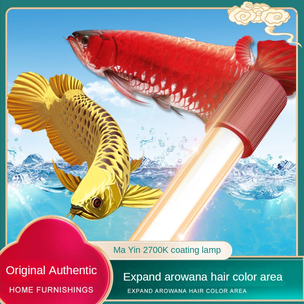 إضاءة حوض أسماك الأروانا الزجا - مراجعة Aquarium Fish Yellow وسعره